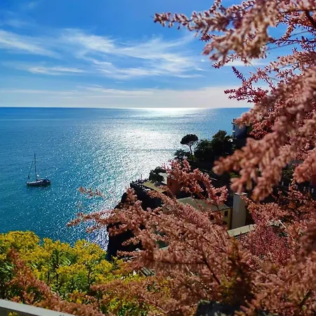 Exotic Flavour House