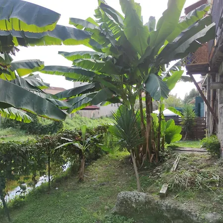 Exotic Flavour House *