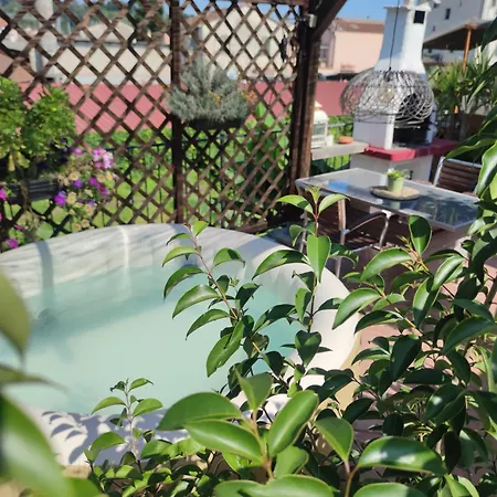 Pensionat Exotic Flavour House