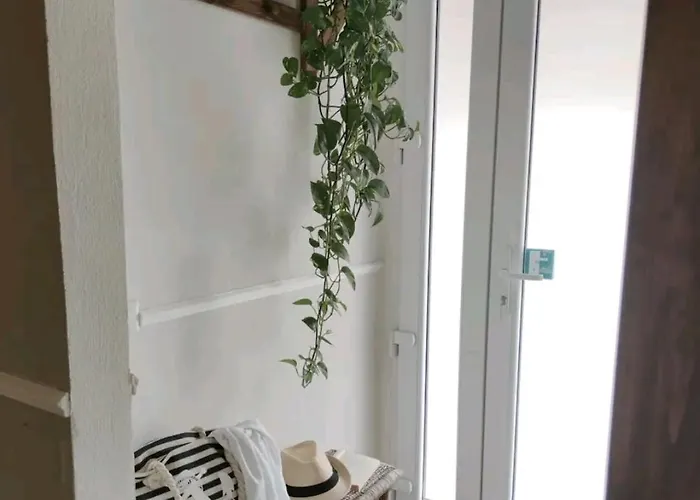 Exotic Flavour House Pensión La Spezia