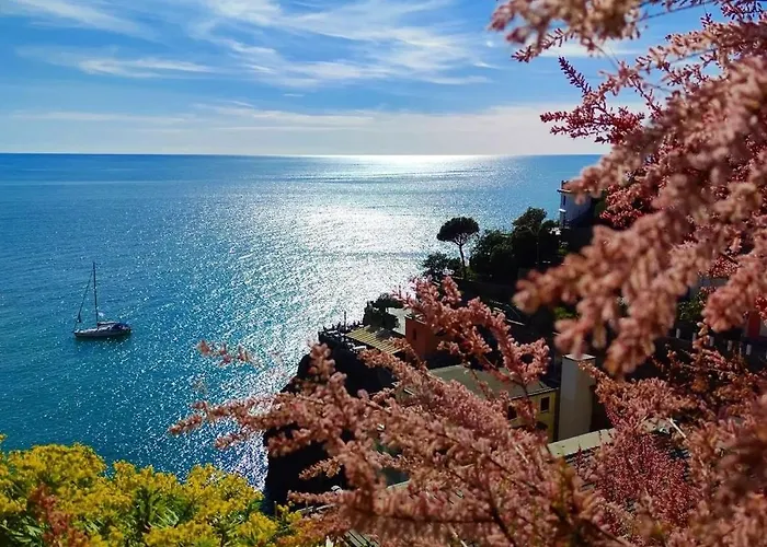 Exotic Flavour House