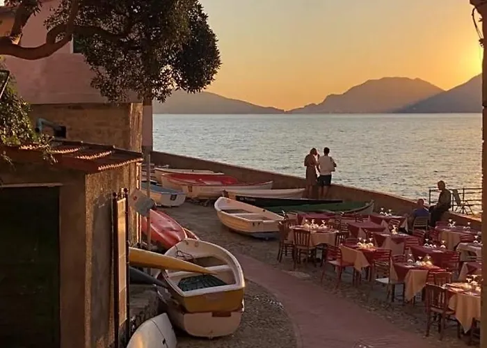 Exotic Flavour House *