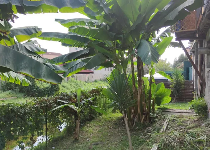 Exotic Flavour House *